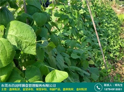 全国库存服装交易平台怎么找货源，这几个渠道更实际